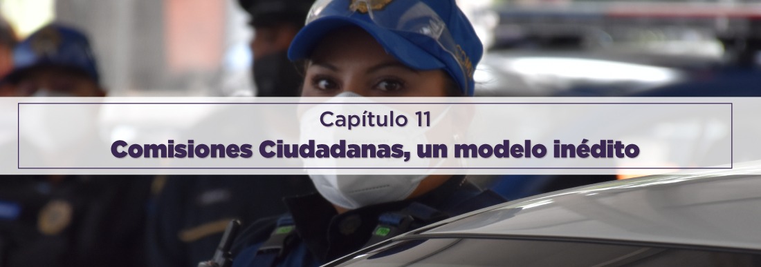 Comisiones ciudadanas, un modelo inédito